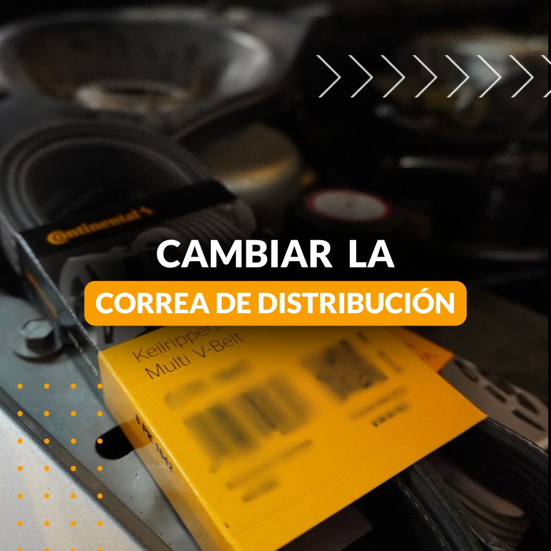 Cambiar la Correa de distribución